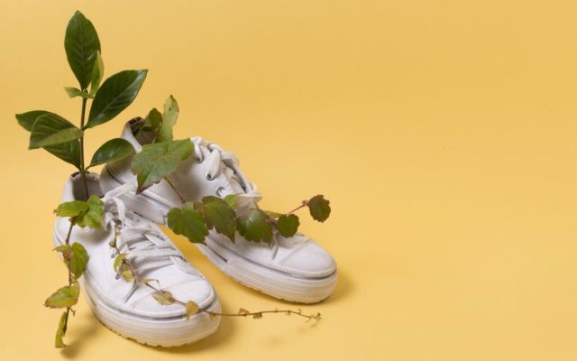 mejemer ethiopia amharic principle