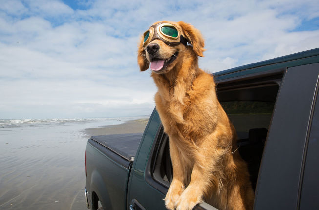 mejemer ethiopia amaharic the lazy habit